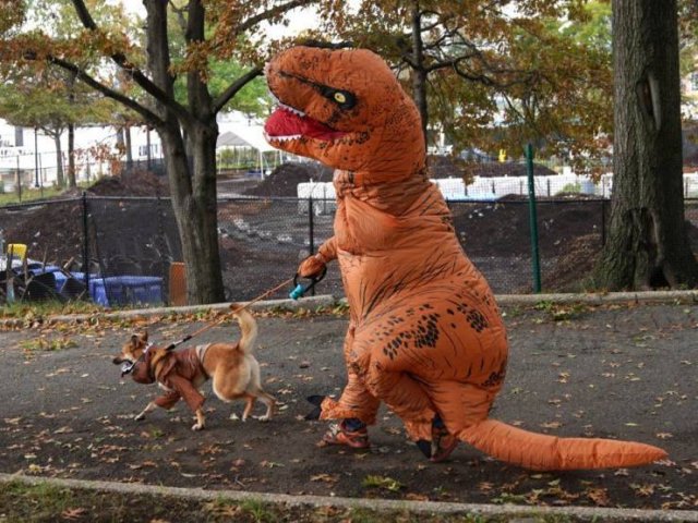 Acid Picdump. Part 1 (96 pics)