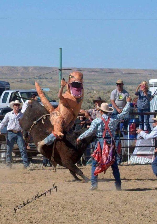 Acid Picdump. Part 1 (96 pics)