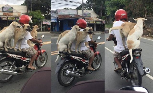 Acid Picdump. Part 1 (96 pics)