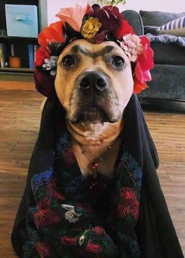 Acid Picdump. Part 1 (96 pics)