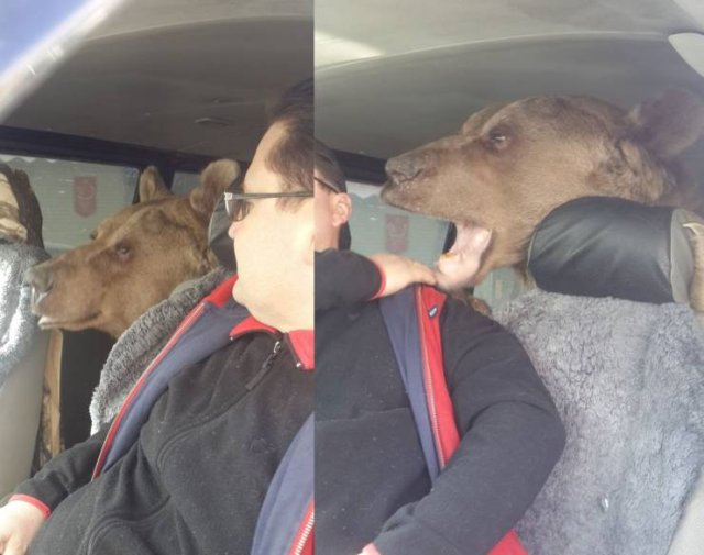 Acid Picdump. Part 1 (96 pics)