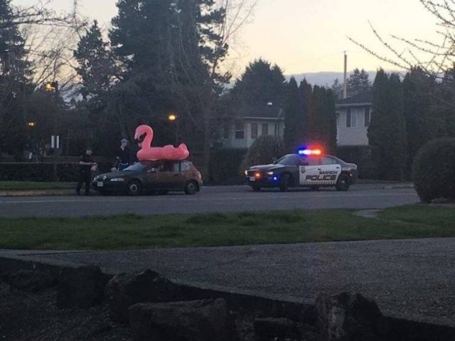 Acid Picdump. Part 1 (96 pics)
