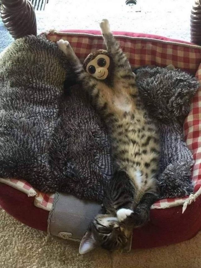 Acid Picdump. Part 1 (96 pics)