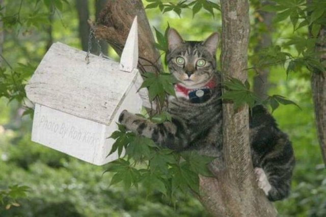 Acid Picdump. Part 1 (96 pics)