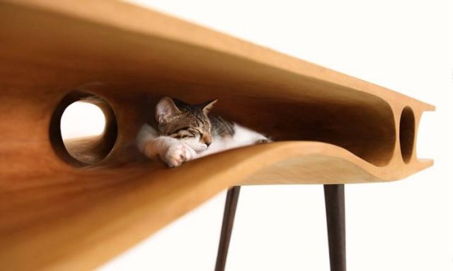 Things We'd Like To Have (26 pics)