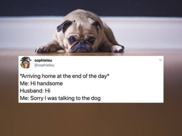 Tweets About Married Life (28 pics)