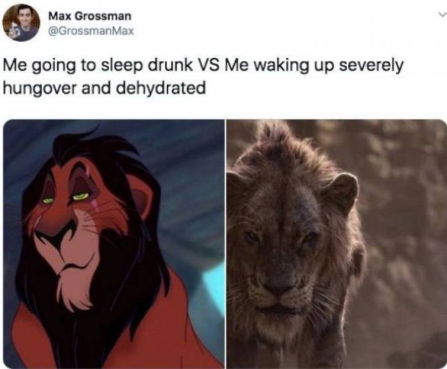 Lion King Memes (30 pics)