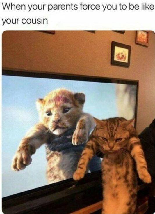Meme Lion king memes (30 pics) - technobgt.dev