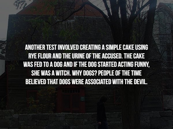 Facts About Salem Witch Trials (17 pics)