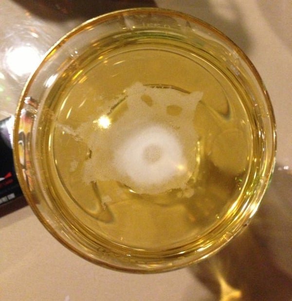 Your Beer Is Sending You A Message (28 pics)