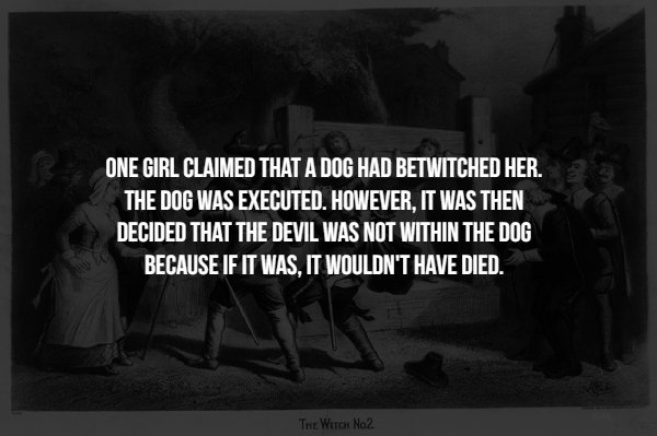 Facts About Salem Witch Trials (17 pics)