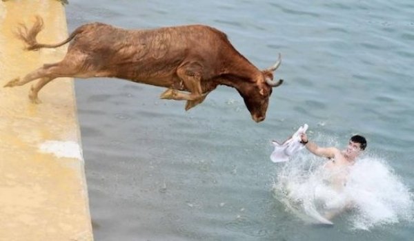 Sh*t Happens (34 pics)