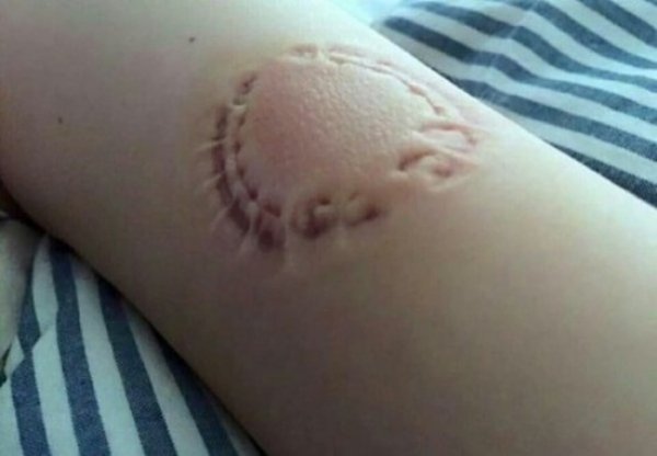 Sh*t Happens (34 pics)