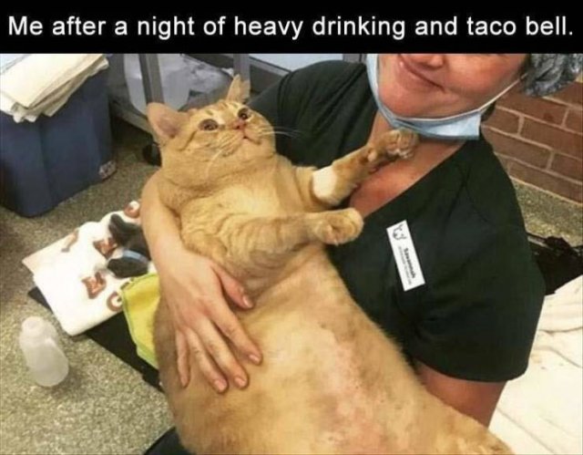 Acid Picdump. Part 2 (101 pics)