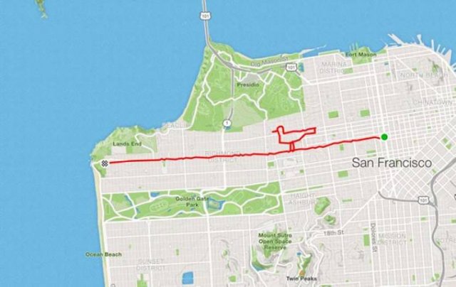 When You Want To Run, But You Are An Artist At Heart (25 pics)