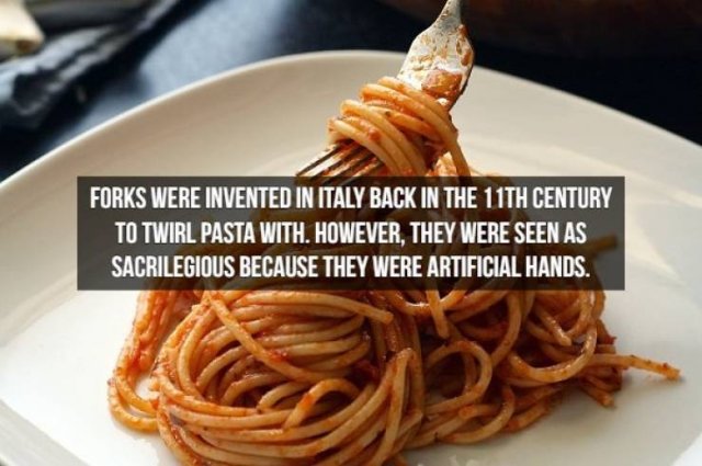 Historical Facts (16 pics)