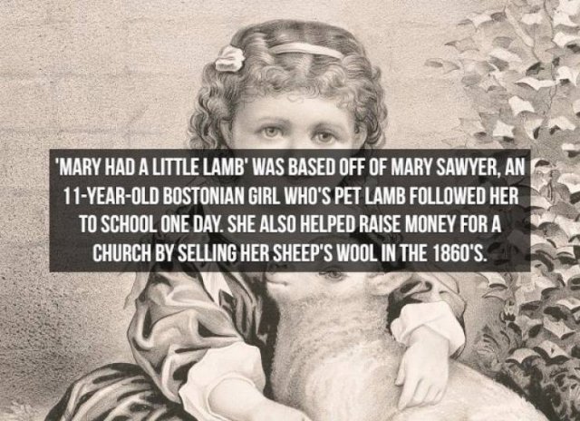 Historical Facts (16 pics)