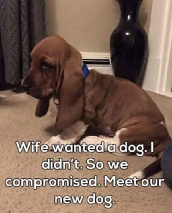 Marriage Memes (32 pics)