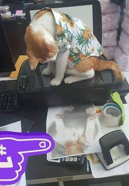 Acid Picdump. Part 1 (124 pics)