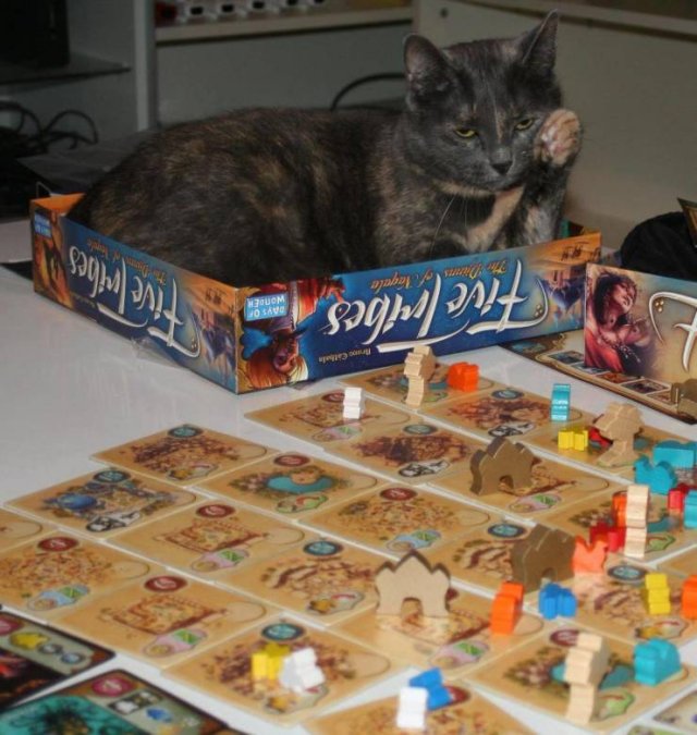 Acid Picdump. Part 1 (124 pics)