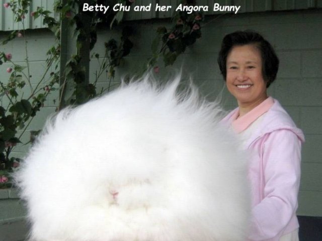 Acid Picdump. Part 1 (124 pics)