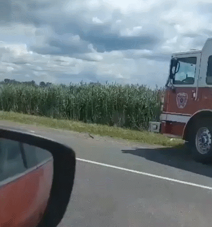 Acid Gifdump, July 29 (25 gifs)