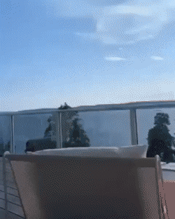 Acid Gifdump, July 29 (25 gifs)