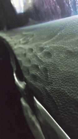 Acid Gifdump, July 29 (25 gifs)