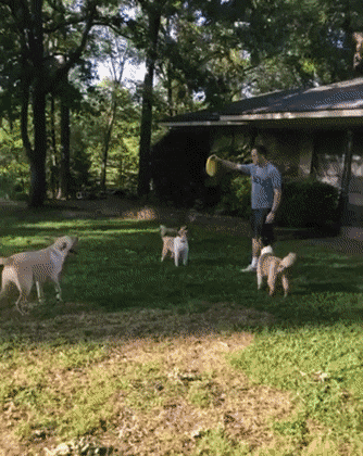 Acid Gifdump, July 29 (25 gifs)