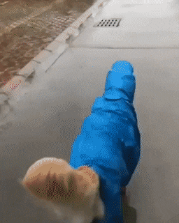 Acid Gifdump, July 29 (25 gifs)
