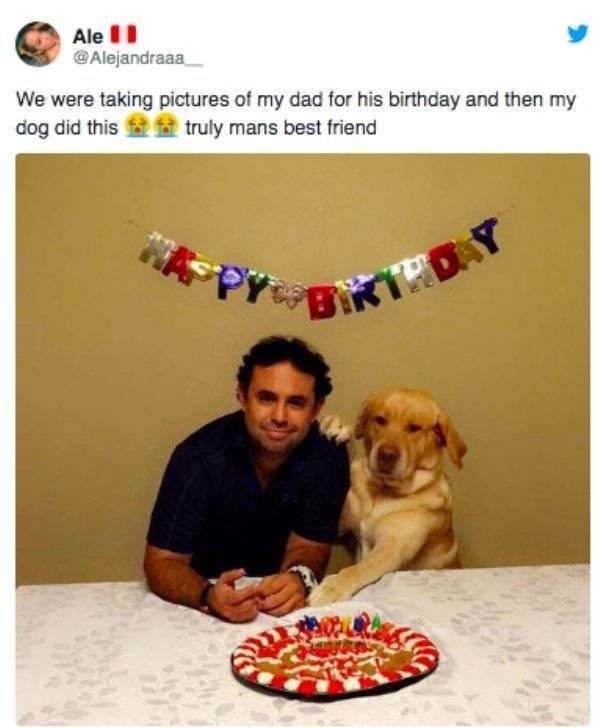 Selection Of Interesting And Funny Pictures (69 pics)