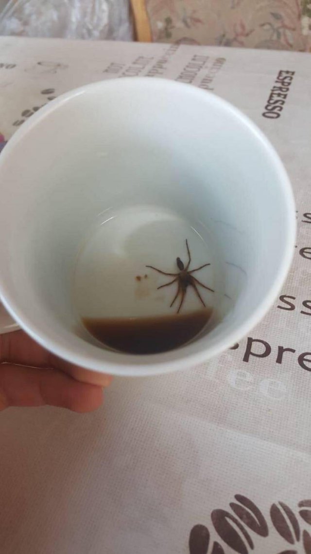 Sh*t Happens (54 pics)