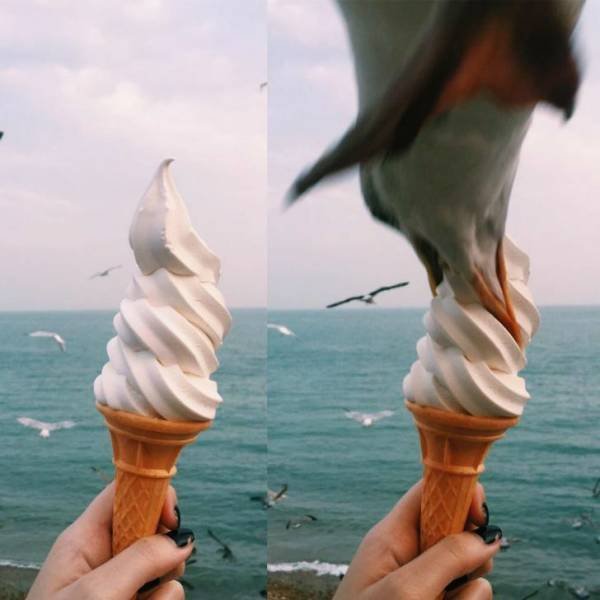 Sh*t Happens (54 pics)
