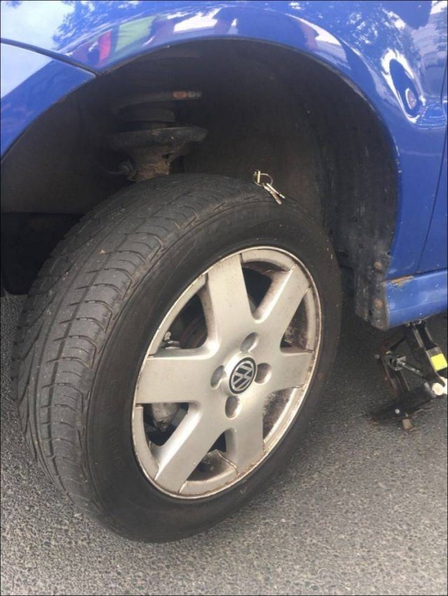 Sh*t Happens (54 pics)