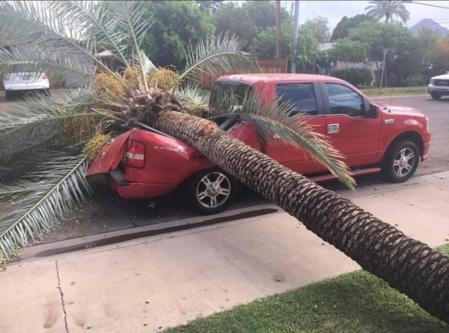 Sh*t Happens (54 pics)