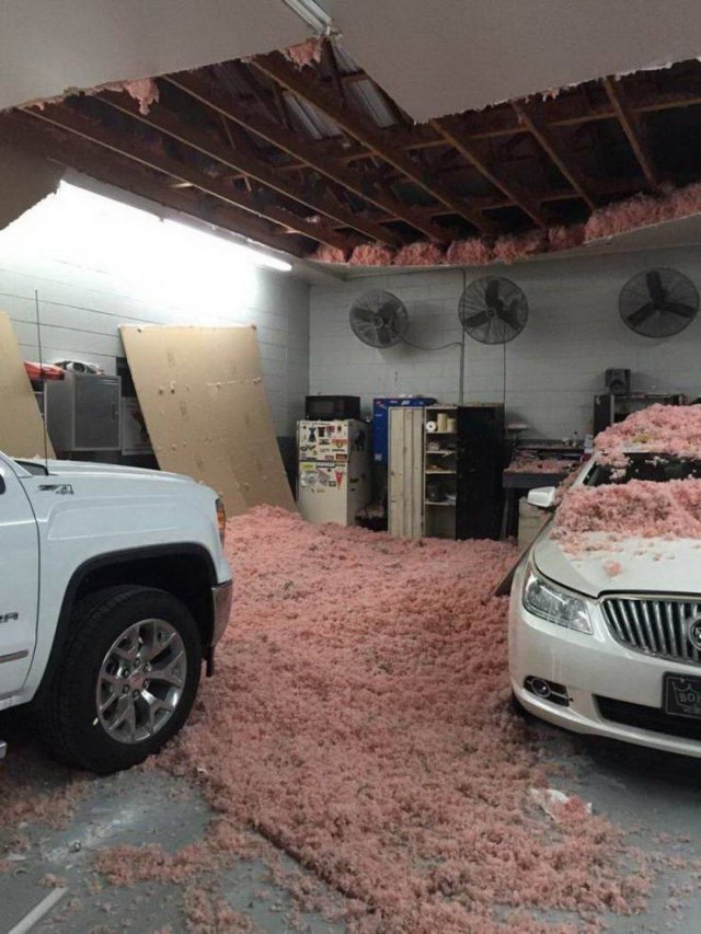 Sh*t Happens (54 pics)