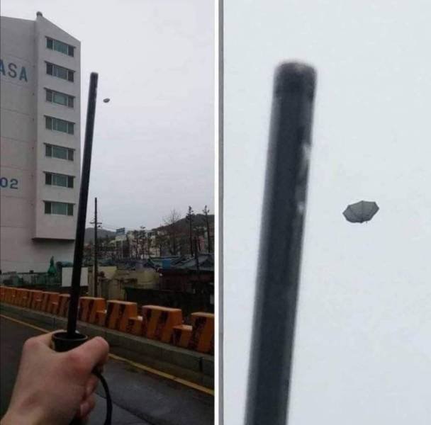 Sh*t Happens (54 pics)