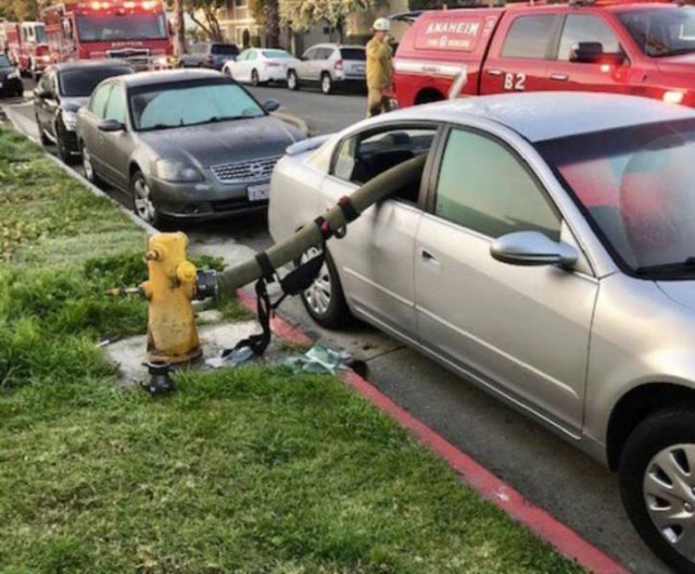 Sh*t Happens (54 pics)