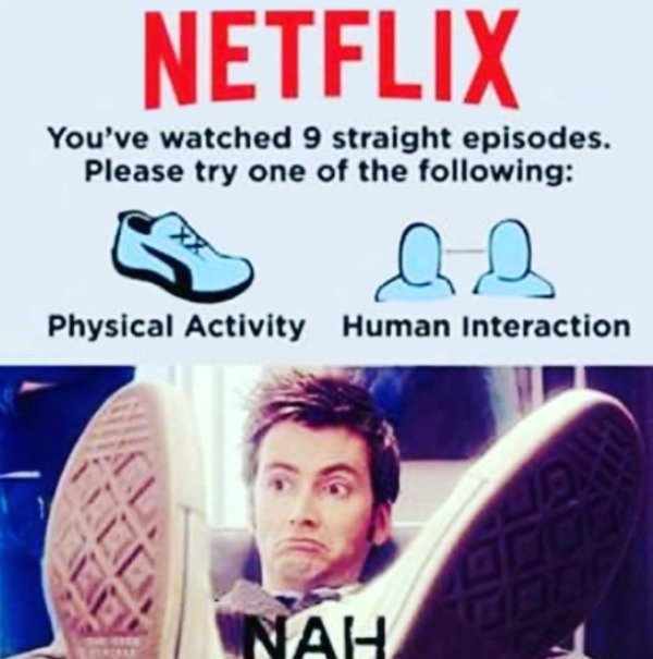 Netflix Memes (30 pics)