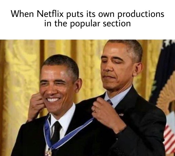 Netflix Memes (30 pics)