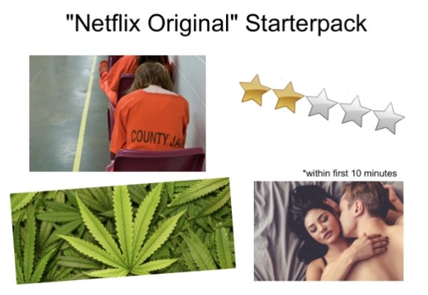 Netflix Memes (30 pics)