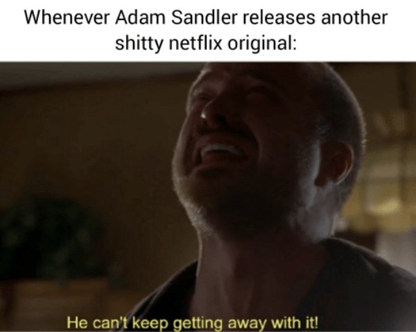Netflix Memes (30 pics)