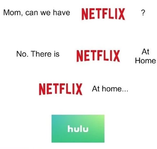 Netflix Memes (30 pics)