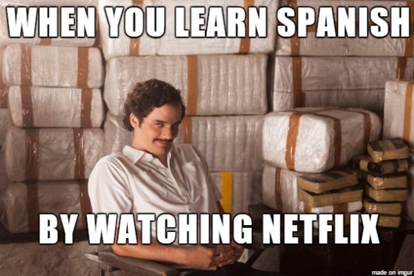 Netflix Memes (30 pics)