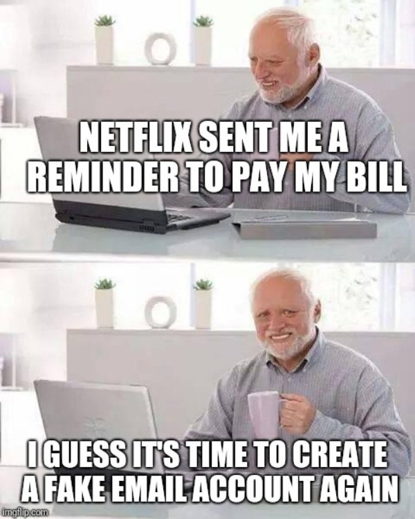 Netflix Memes (30 pics)