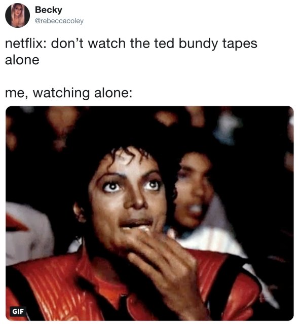 Netflix Memes (30 pics)