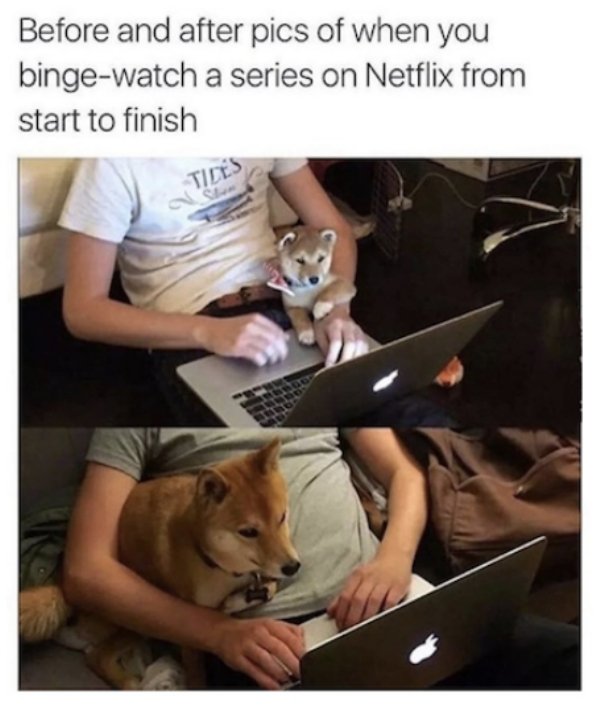 Netflix Memes (30 pics)