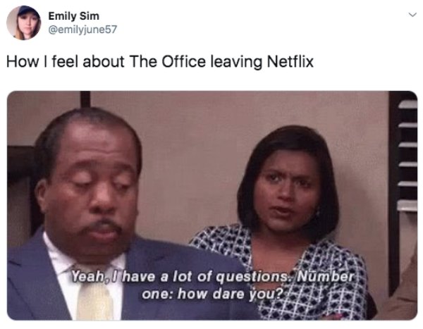 Netflix Memes (30 pics)