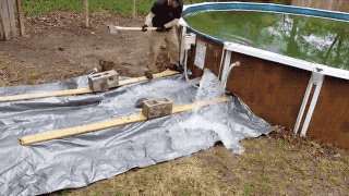 Unbelievably Cool (21 gifs)