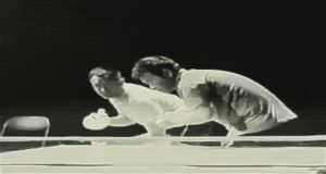 Unbelievably Cool (21 gifs)